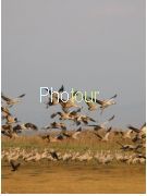 צלם: PHOTOUR