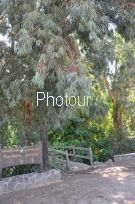 צלם: רונית סבירסקי