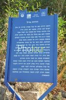 צלם: רונית סבירסקי