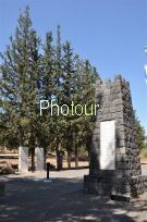 צלם: רונית סבירסקי