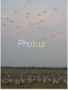 צלם: PHOTOUR