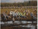 צלם: PHOTOUR