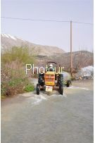 צלם: Ronit Svirsky