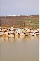 צלם: Ronit Svirsky