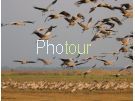צלם: PHOTOUR