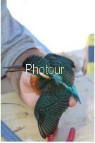 צלם: רונית סבירסקי