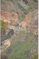 צלם: רונית סבירסקי