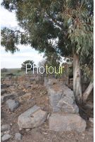 צלם: רונית סבירסקי