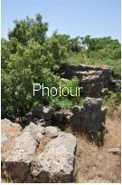 צלם: רונית סבירסקי