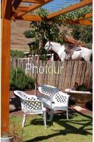 צלם: איילת בר טל 