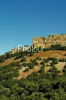 צלם: דורון ניסים