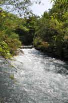 צלם: רונית סבירסקי