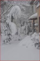 צלם: ערן גליק