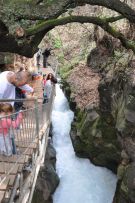 צלם: רונית סבירסקי