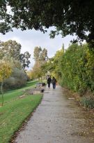 צלם: רונית סבירסקי