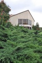 צלם: רונית סבירסקי