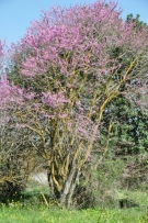 צלם: רונית סבירסקי