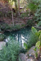 צלם: רונית סבירסקי