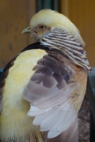 צלם: רונית סבירסקי