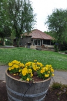 צלם: רונית סבירסקי