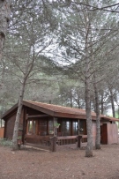 צלם: רונית סבירסקי