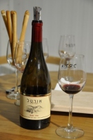 צלם: רונית סבירסקי