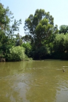 צלם: רונית סבירסקי