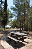 צלם: רונית סבירסקי