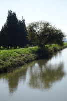 צלם: רונית סבירסקי