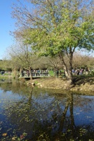 צלם: רונית סבירסקי