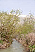 צלם: Ronit Svirsky