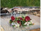 צלם: PHOTOUR צלם: PHOTOUR