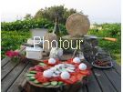 צלם: PHOTOUR צלם: PHOTOUR