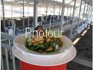 צלם: PHOTOUR צלם: PHOTOUR