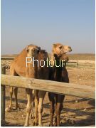 צלם: PHOTOUR צלם: PHOTOUR