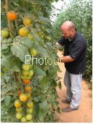 צלם: PHOTOUR צלם: PHOTOUR