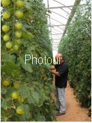 צלם: PHOTOUR צלם: PHOTOUR