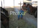 צלם: PHOTOUR צלם: PHOTOUR
