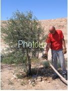 צלם: PHOTOUR צלם: PHOTOUR