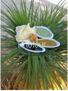 צלם: PHOTOUR צלם: PHOTOUR