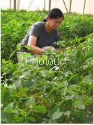 צלם: PHOTOUR צלם: PHOTOUR