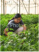 צלם: PHOTOUR צלם: PHOTOUR