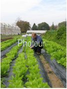 צלם: PHOTOUR צלם: PHOTOUR