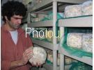צלם: PHOTOUR צלם: PHOTOUR