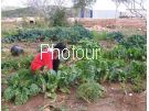 צלם: PHOTOUR צלם: PHOTOUR