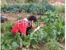 צלם: PHOTOUR צלם: PHOTOUR