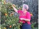 צלם: PHOTOUR צלם: PHOTOUR