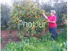 צלם: PHOTOUR צלם: PHOTOUR