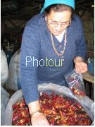 צלם: PHOTOUR צלם: PHOTOUR