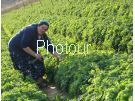 צלם: PHOTOUR צלם: PHOTOUR